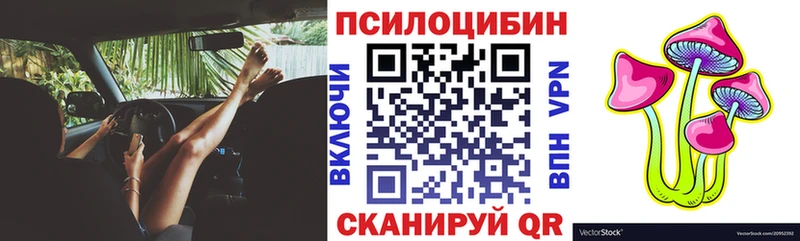 Купить закладки  Болхов  Галлюциногенные грибы MAGIC MUSHROOMS 